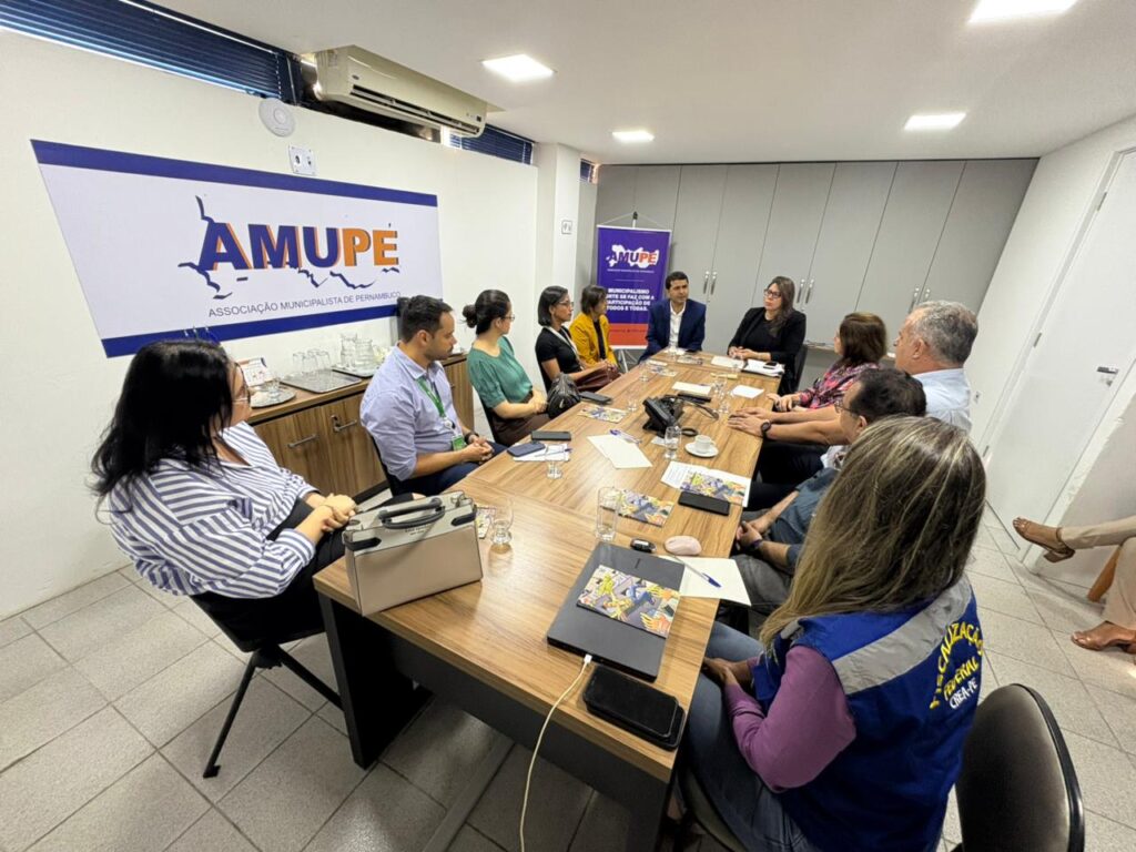 MPT reúne Amupe, Neoenergia e Crea-PE para discutir segurança na iluminação pública nos municípios