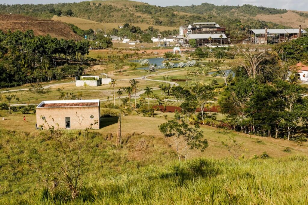 Mata Sul ganha novo festival e fortalece cena cultural com estreia do Usina Jazz & Blues em Água Preta