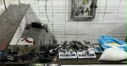 PM cumpre mandado de prisão e apreende arma, drogas e motocicleta roubada em Gameleira